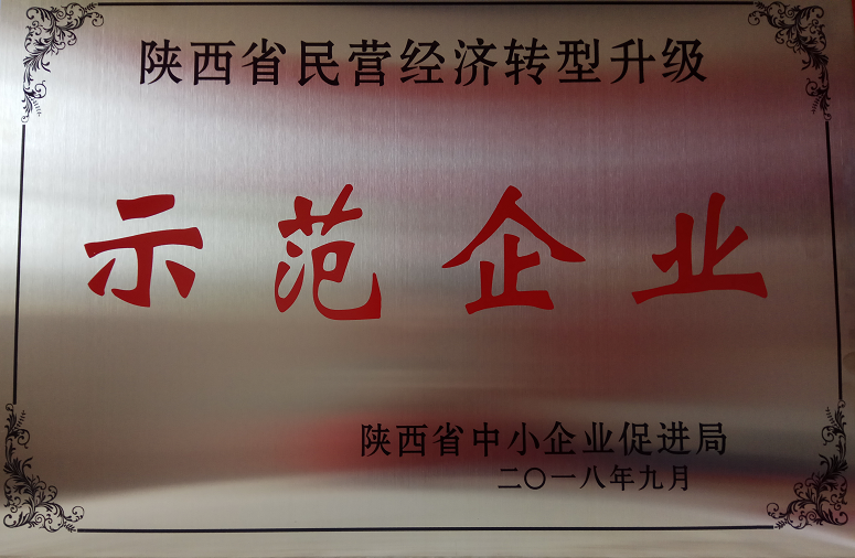 榮獲陜西省民營(yíng)經(jīng)濟(jì)轉(zhuǎn)型升級(jí)示范企業(yè)